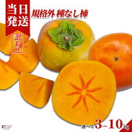 [送料無料][最強配送][あす楽] 美味いとこどり 訳あり 規格外 たねなし柿 選べる内容量 和歌山県産 産地…