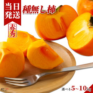 [][ŋz][y] Ƃǂ 햳` Iׂe a̎RY Yn ` ˂Ȃ` ؃\GI