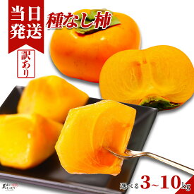 [送料無料] [最強配送]美味いとこどり 訳あり たねなし柿 選べる内容量 青秀 和歌山県産 産地直送 柿 種無し柿 野菜ソムリエが選別