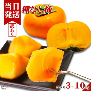 [][ŋz] Ƃǂ 󂠂 햳` (킹)̈׏ΐFƂȂ܂ Iׂe ƒp a̎RY Yn ` ˂Ȃ` ؃\GI