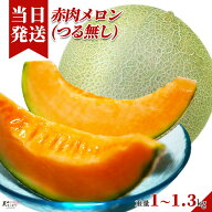 [送料無料][最強配送][あす楽] 美味いとこどり メロン 赤肉 つる無し 完熟 高級 特秀A ※野菜ソムリエが…