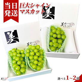 [送料無料][最強配送][あす楽] 美味いとこどり 巨大 シャインマスカット 1房 約550〜650g 選べる内容量 高級 高糖度平均20度超え 旬な産地を厳選