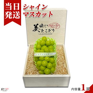 [][ŋz][y] Ƃǂ VC}XJbg ؔ 1[ 350`400g x20x ؃\G Mtg 蕨