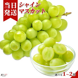 [送料無料][最強配送][あす楽] 美味いとこどり 産地厳選 高級 シャインマスカット 1房 約350〜400g 高糖度平均20度 野菜ソムリエ推奨