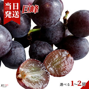 [][ŋz][y] Ƃǂ 햳  350g~400g ؃\GďC x20x Yn͏{̎ɍ킹đI肢܂B