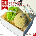 [送料無料][最強配送][あす楽] 美味いとこどり マスクメロン シャインマスカット 贅沢フルーツセット 地域厳選 高糖度 ※ 野菜ソムリエが選別 ※ 産地は旬な時期に合わせてフルーツソムリエが選定いたします。 ※ ギフト箱梱包