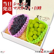 [送料無料][最強配送][あす楽] 美味いとこどり 巨峰 シャインマスカット セット 地域厳選 高糖度 ※ 野菜…