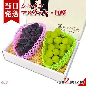 [送料無料][最強配送][あす楽] 美味いとこどり 巨峰 シャインマスカット セット 地域厳選 高糖度 ※ 野菜ソムリエが選別 ※ 産地は旬な時期に合わせて野菜ソムリエが選定いたします。※ ギフト箱梱包