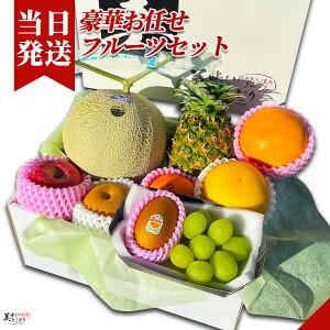 [][ŋz][y] Ƃǂ Ct[cZbg ؂Ct[cZbg ʕZbg ؃\GďC ̂  Ή\ 䒆 Mtg v[g i