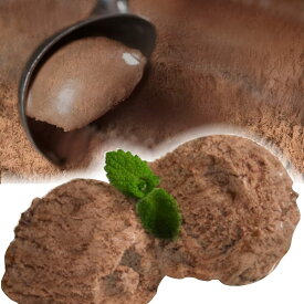 [送料無料][あす楽] 美味いとこどり アイス大国 ニュージーランド産 ホーキーポーキー (チョコレート) 業務用 高級 アイスクリーム 800ml×2 (1600ml) 濃厚チョコレート ※フルーツマイスター推奨