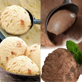 [送料無料][あす楽] 美味いとこどり アイス大国 ニュージーランド産 ホーキーポーキー (チョコレート/キャラメル) 業務用 高級 アイスクリーム 800ml 各1個 (1600ml) ※フルーツマイスター推奨