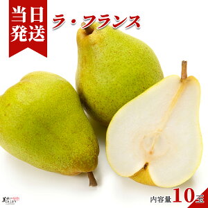 [][ŋz][y] Ƃǂ tX 10 2.5kg ԏG ZT[ ؃\GI