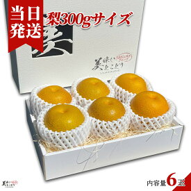 [送料無料][最強配送][あす楽] 美味いとこどり 梨 約250g×6個 品種 お任せ 野菜ソムリエが旬な時期に合わせて梨の名産地を選別、選定いたします。 等級 赤秀 高糖度 ※ ギフト箱梱包 ※ 冷蔵配送
