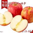 [送料無料][最強配送][あす楽] 美味いとこどり ジョナゴールド りんご 選べる内容量 1個約300g 赤秀 完熟 高級 ※野菜ソムリエが選別