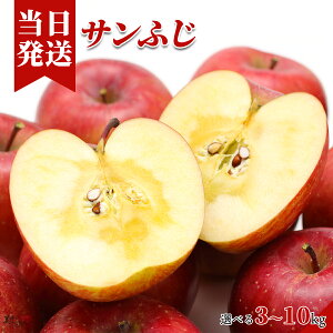 [][ŋz][y] Ƃǂ n ӂ Iׂe XY 쌧Y {Ȏɂ؃\GI肢܂B ԏG ؃\GI