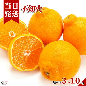 [��������][�ŋ��z��][�����y] �������Ƃ��ǂ� ����ʂ� �s�m�� �I�ׂ���e�� �a�̎R���Y �f�R�|���Ɠ����i�� �Y�n���� �ł��ۂ� ��؃\�����G���I��