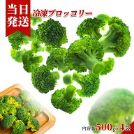 [送料無料][最強配送][あす楽] 美味いとこどり 冷凍 ブロッコリー 小分け500g×4パック ※※野菜ソムリエ…