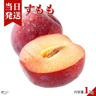 [送料無料][最強配送][あす楽] 美味いとこどり 和歌山県産 プラム すもも 1kg パック 高級 最高級のAラン…