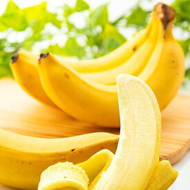[送料無料][あす楽] 美味いとこどり 有機 無農薬 安全 オーガニック バナナ 約2kg ※フルーツマイスターが選別 母の日 父の日