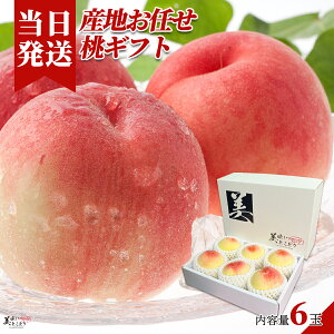 [][ŋz][y] Ƃǂ YnC   Mtg{bNX p ؃\G{ɍ킹ĎYnI  AN xvI x 200g`250g×6