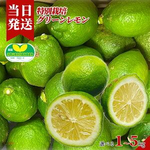 [][ŋz][y] Ƃǂ聦ʍ͔|a̎RY 炲ƐHׂ郌 Iׂe Yn  ʍ͔| ؃\GI