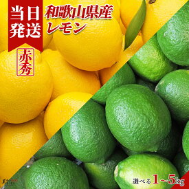 [送料無料][最強配送][あす楽] 美味いとこどり 和歌山県産 レモン 選べる内容量 野菜ソムリエ監修