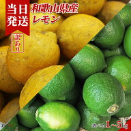 [送料無料][最強配送][あす楽] 美味いとこどり 訳あり レモン 選べる内容量 和歌山県産 野菜ソムリエ監修