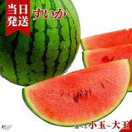 [送料無料][最強配送][あす楽] 美味いとこどり すいか 完熟 高級 赤秀 Sランク 選べるサイズ 小玉 大玉 …