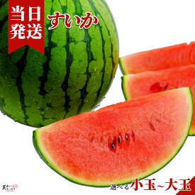 [送料無料][最強配送][あす楽] 美味いとこどり すいか 完熟 高級 赤秀 Sランク 選べるサイズ 小玉 大玉 特大 ※ 野菜ソムリエが選別
