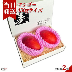 [��������][�ŋ��z��][�����y] �������Ƃ��ǂ� ���n �}���S�[ ��450g×2�� �{��Y �ԏG �M�t�g�{�b�N�X ����؃\�����G�ďC