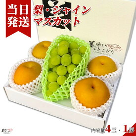 [送料無料][最強配送][あす楽] 美味いとこどり 梨 シャインマスカット 贅沢フルーツ セット ギフト箱 地域厳選 高糖度 平均20度超え ※ 野菜ソムリエが選別