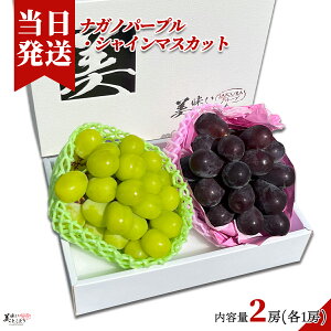 [][ŋz][y] Ƃǂ  iKmp[v VC}XJbg Zbge1[ x20x 1[(350`400gjYn͏{Ȏɍ킹Ė؃\GI肢