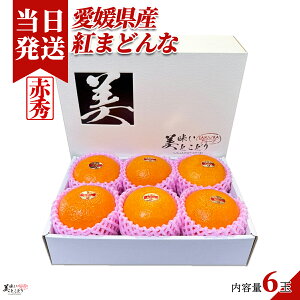 [][ŋz][y] Ƃǂ g܂ǂ Mtg 6 ԏG QY Mtg{bNX p