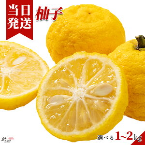 [][ŋz][y] Ƃǂ Mq 䂸 Iׂe a̎RY  ؃\GďCi  ؃\GI