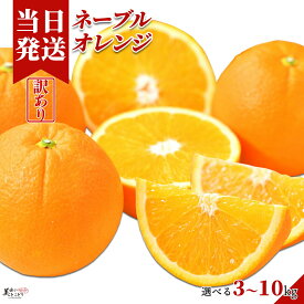 [送料無料][最強配送][あす楽] 美味いとこどり 訳あり ネーブルオレンジ 選べる内容量 和歌山県産 野菜ソムリエ監修 傷 サイズ不揃い