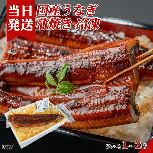[][ŋz][y] Ƃǂ Ⓚ Ȃ  V Y RY 1 250g TCY  Iׂ閇 ^pbN yp̓ Mtg{bNX p 蕨
