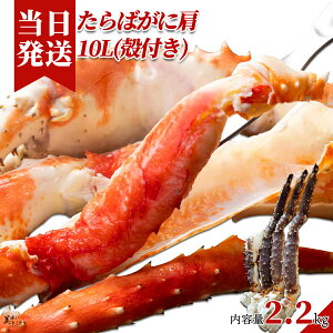 [][ŋz][y] Ƃǂ ΂   kt 10LTCY  2.2kg hg  Ԃ ^oKj  I Jj NNn