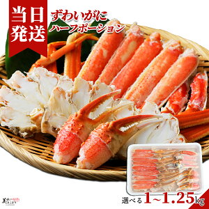 [][ŋz][y] Ƃǂ 킢 n[t|[V Zbg ^ TCY hg  Ԃ YCKj