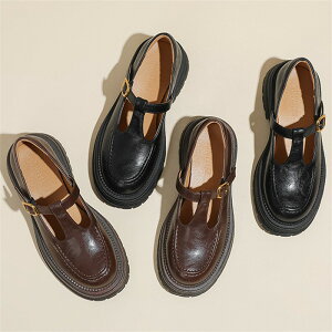 [t@[  fB[X pvX V[Y C Ȃ [WF[ 5cm tbg {[\[ gbN\[ Xgbv EhgD \ n  Nc ꂢ  