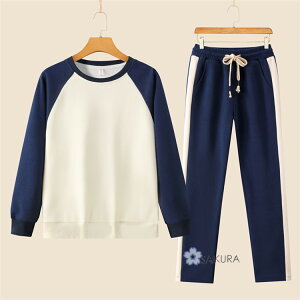 XEFbg ZbgAbv fB[X ㉺ Zbgn  M L LL 3L XL XXL 3XL 4L 4XL 5L [EFA 傫 傫TCY  gbvX pc t H~ XGbg㉺