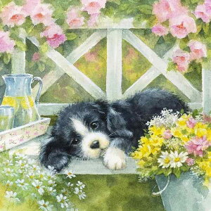 _ChA[g    K[f _ChyCeBO Lbg lpr[Y ۃr[Y r[YhJLbg Zbg _CAhA[g nhCh H | 