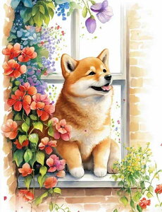 _ChA[g Lbg  lpr[Y  Sunny Day Ԃ̑ Č XNGA _CAhA[g _ChyCeBO Lbg r[Y hJLbg Zbg 