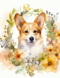 _ChA[g Lbg lpr[Y  R[M[ƉԂ̃[X _CAhA[g XNGAr[Y _ChyCeBO r[Y hJLbg Zbg  