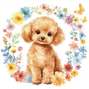 _ChA[g gCv[h ƃ[X  lpr[Y _CAhA[g XNGA _ChyCeBO r[YhJLbg Zbg nhCh | 