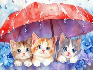 _ChA[g Lbg lpr[Y L Kitten J̓ ԂPƎz ~J ABr[Y XNGA _CAhA[g _ChyCeBO r[Y hJLbg Zbg I[r[Y 