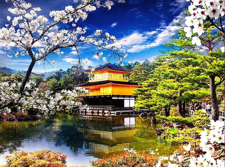 楽天市場 大型 上級者 ダイヤモンドアート キット 50 40 京都 金閣寺 日本 和風 美しい風景 ダイアモンドペインティング セット 中級者 ビーズ刺繍キット インテリア 絵画 ハンドメイド クロスステッチ 工作 手芸 送料無料 さくらシフォン