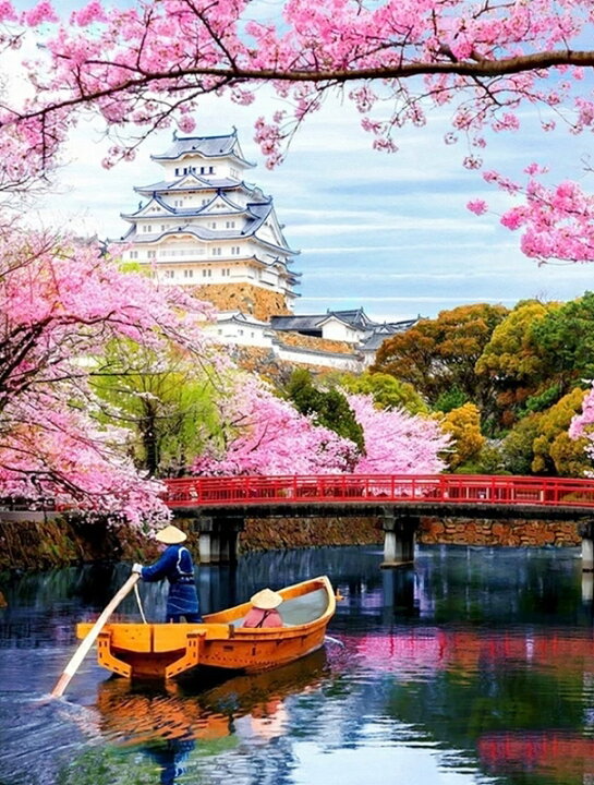 楽天市場 大型 大作 ダイヤモンドアート 50 40 日本の美しい風景 桜 城 和風 ダイアモンドペインティング ビーズ刺繍キット 中級 上級 上級者 インテリア 絵画 ハンドメイド クロスステッチ 工作 手芸 送料無料 さくらシフォン