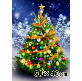 大作 大型 フル ダイヤモンドアート キット クリスマスツリー 雪の中 輝くオーナメント 50×40cm ダイヤモンドペインティング 中級者 上級者 ビーズ刺繍キット セット ハンドメイド 手芸 趣味 絵画 ハンドメイド クロスステッチ 工作 送料無料