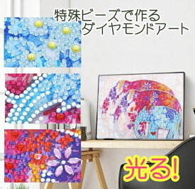 楽天市場 ダイヤモンド アート 初心者の通販