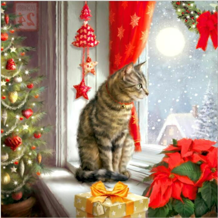 楽天市場 大型 ダイヤモンドアート クリスマス 猫 50 50 中級者 上級者 窓辺 ポインセチア クリスマスツリー 大作 ダイヤモンドペインティング ビーズ刺繍キット ダイアモンドアート ハンドメイド ダイヤモンドフィックス 手芸 送料無料 さくらシフォン